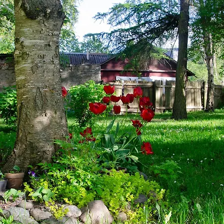 Large 3-room In A Historic House * Tallinn