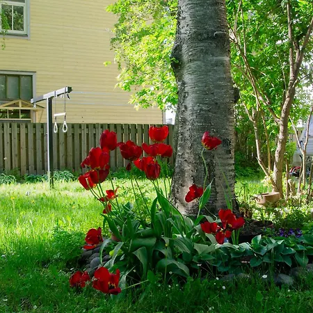 Large 3-room In A Historic House Appartement *