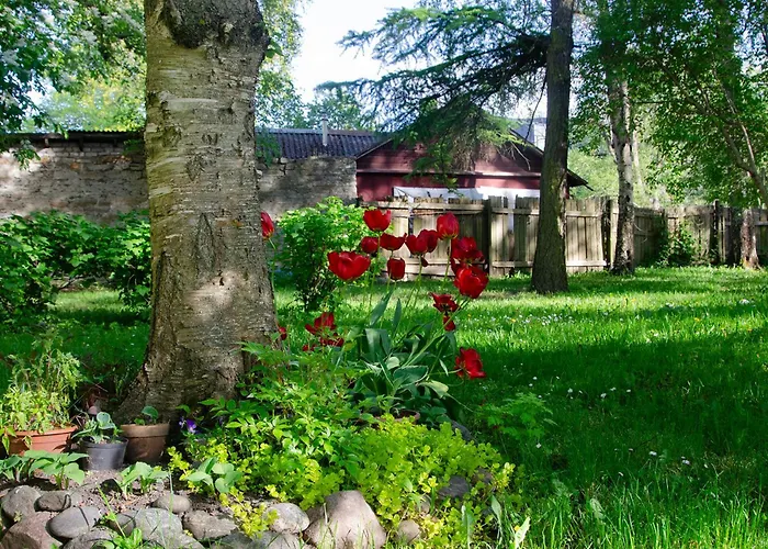 Large 3-room In A Historic House * Tallinn