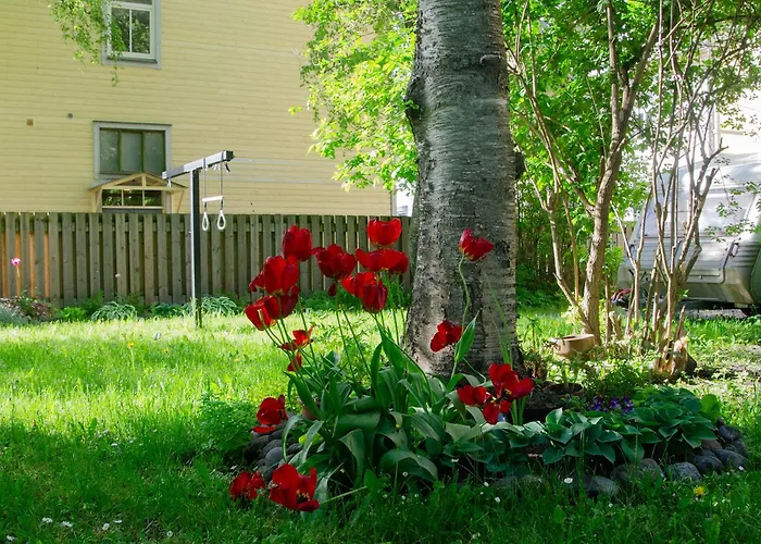 Large 3-room In A Historic House דירה *